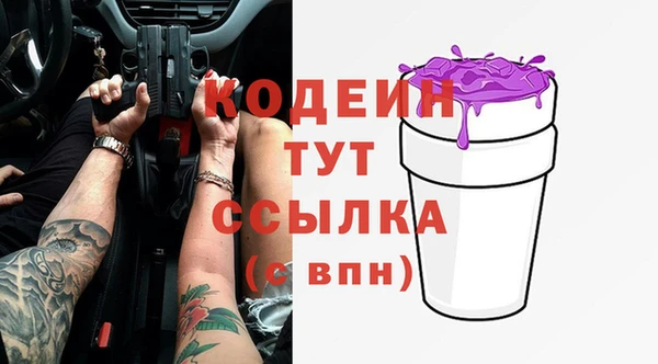 a pvp Пересвет