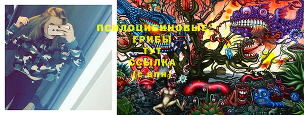 2c-b Переславль-Залесский