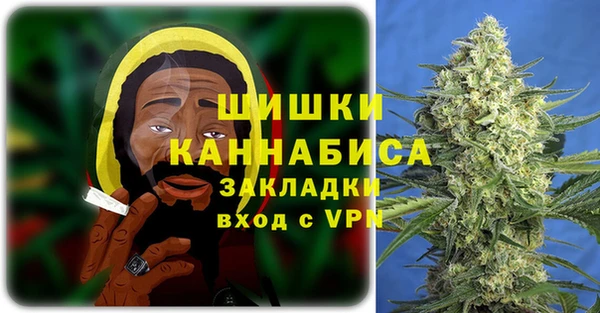 a pvp Пересвет