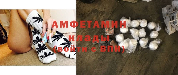 a pvp Пересвет
