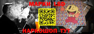 apvp Можга