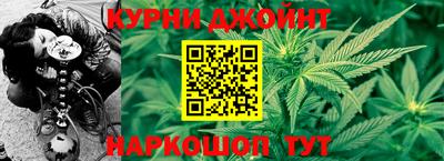 дживик Моздок