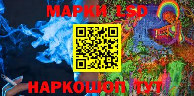 apvp Можга
