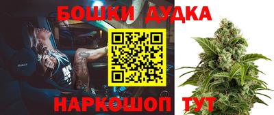 дживик Моздок