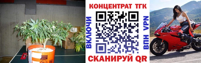 Дистиллят ТГК вейп с тгк  OMG   Шарыпово  как найти  