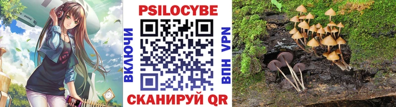 Галлюциногенные грибы Psilocybe что такое наркотик Шарыпово