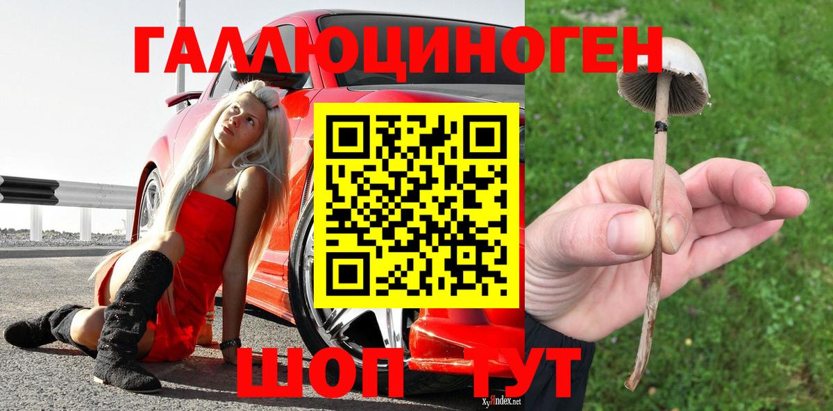 Галлюциногенные грибы Psilocybine cubensis Шарыпово