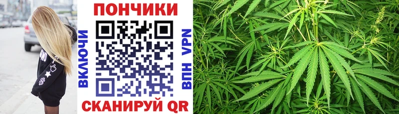 где продают наркотики  Шарыпово  Марихуана ГИДРОПОН 